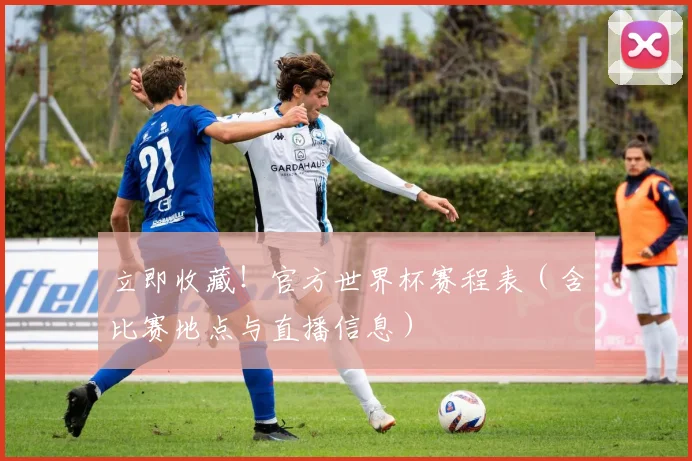 立即收藏！官方世界杯赛程表（含比赛地点与直播信息）